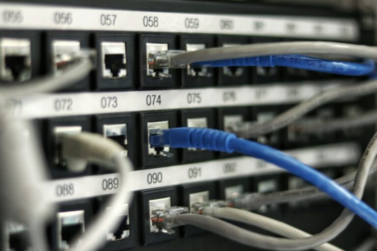 Digitale Souveränität: Blaue Netzwerkkabel in einem Switch