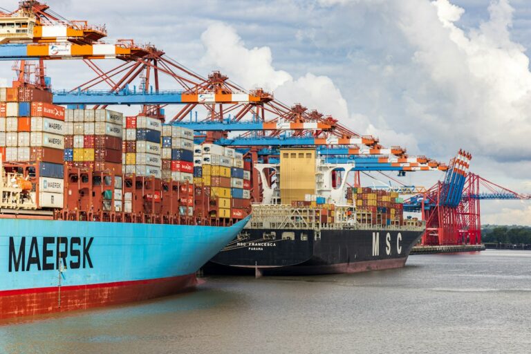 Exportwirtschaft: Containerterminal im Hamburger Hafen